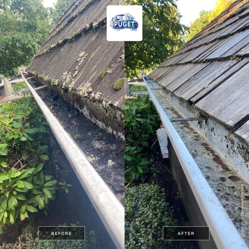 gutter cleaning Seattle