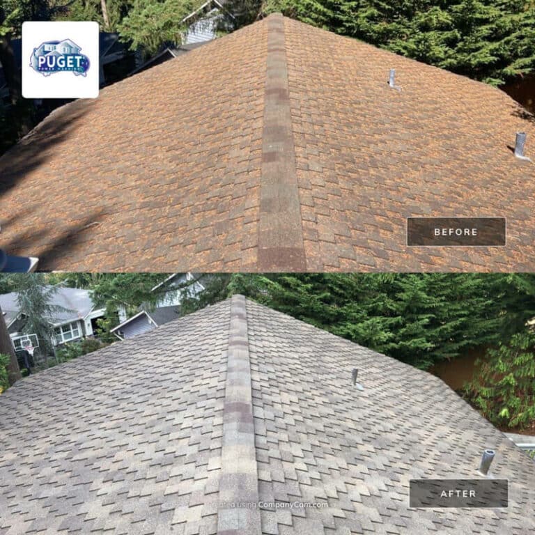 Roof Cleaning Shoreline WA
